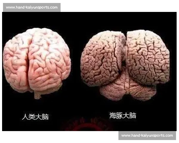 贝恩：孟菲斯的爱，藏在真实的褶皱里