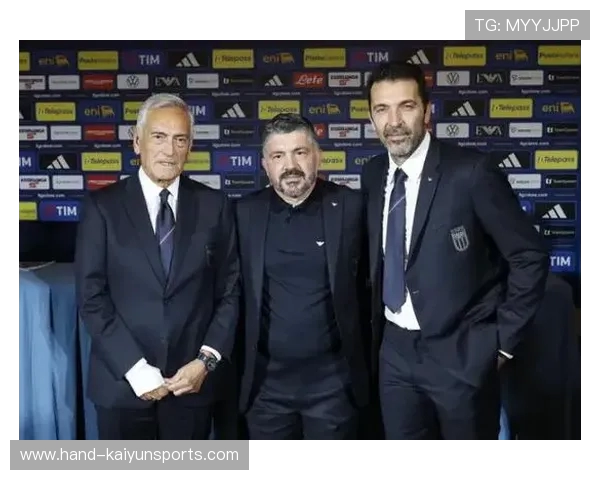 布冯力阻曼奇尼回归，意大利敲定加图索